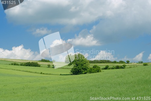 Image of green fields