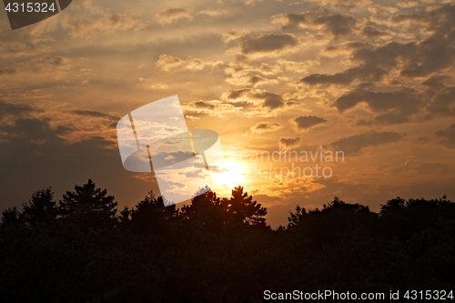 Image of Sunset over trees