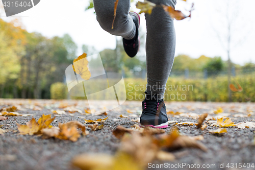 Image of close up of young woman running in autumn park