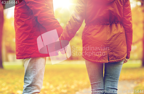 Image of close up of couple holding hands in autumn park
