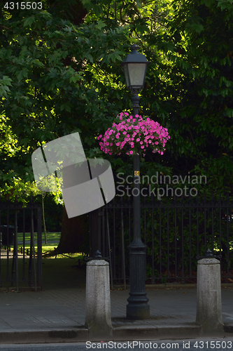 Image of Old street lamp