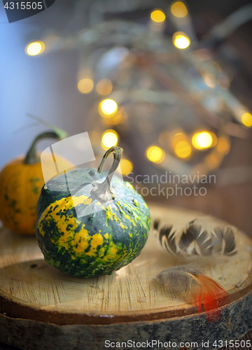 Image of Autumn decoration with small pumpkins