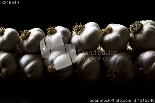 Image of Bunch of garlic