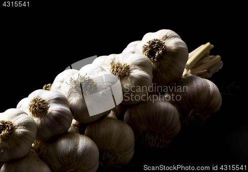 Image of Bunch of garlic