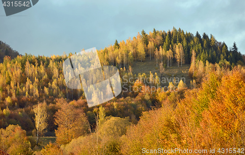 Image of Colorful autumn landscape