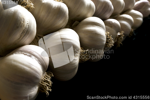 Image of Bunch of garlic