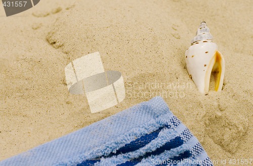 Image of towel and shell