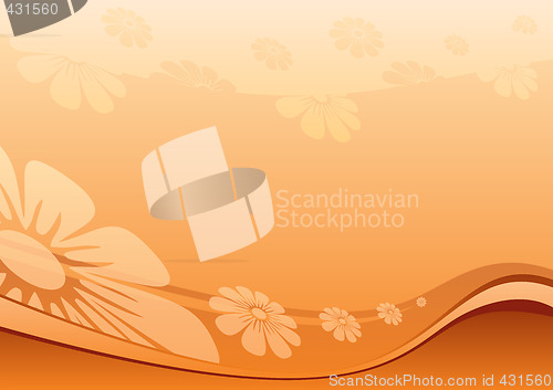 Image of Desert flowers