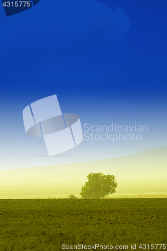 Image of Tree behind a farm