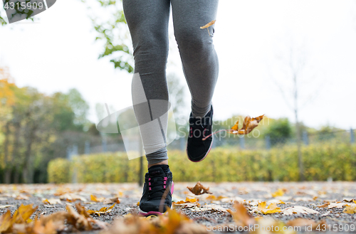 Image of close up of young woman running in autumn park