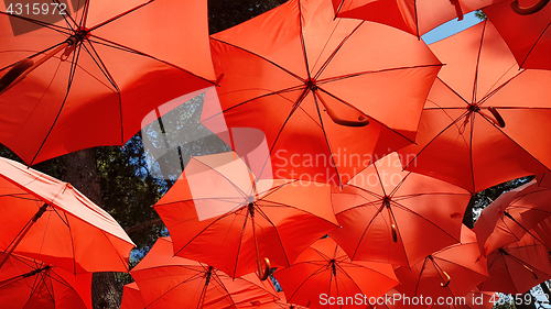 Image of Red Parasol Sunshade