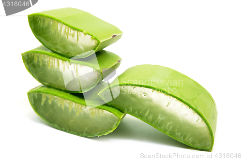 Image of Aloe vera fresh leaf isolated