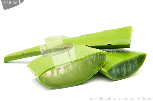 Image of Aloe vera fresh leaf isolated