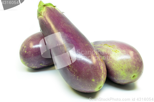 Image of Fresh vegetable eggplant