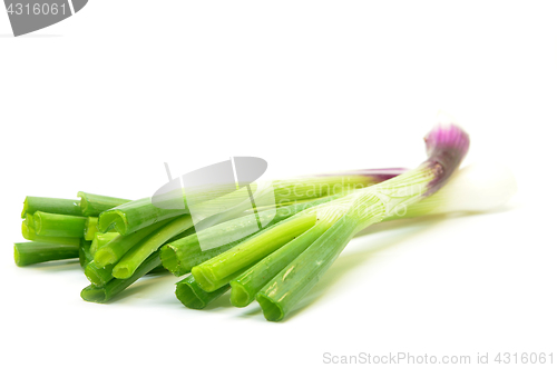 Image of Fresh spring onions