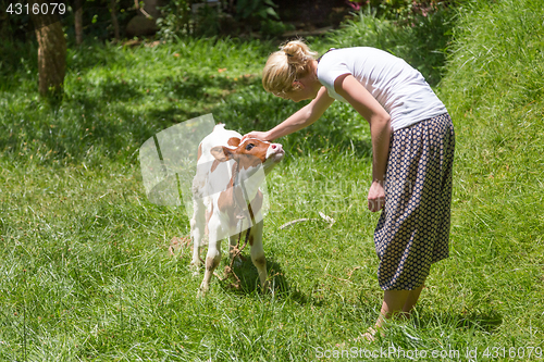 Image of Woman caressing cute baby cow on meadow.
