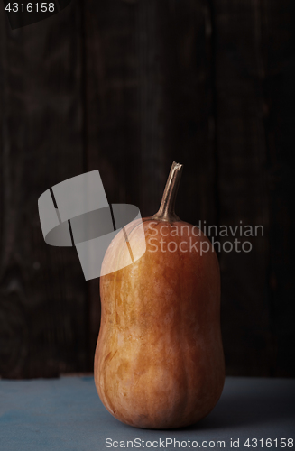 Image of Orange pumpkin on a table