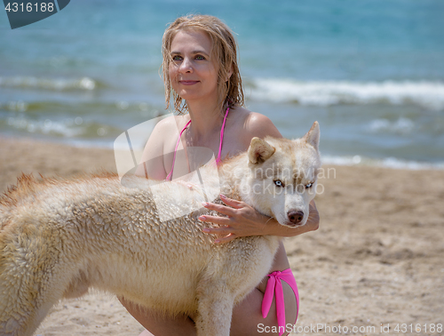 Image of Husky and blonde