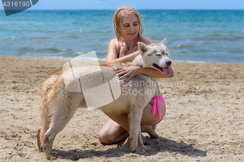 Image of Husky and blonde