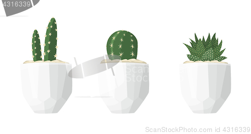 Image of Cactus and succulent illustrations in a flat style isolated on a white background.