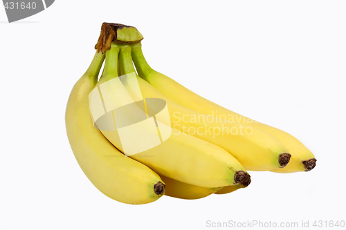 Image of Bananas