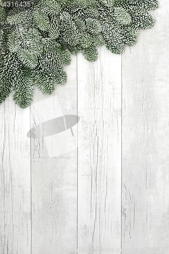 Image of Spruce Fir Background Border