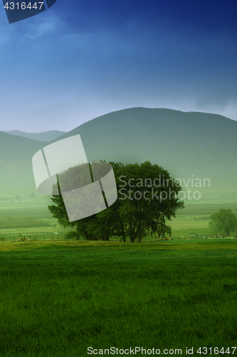 Image of Tree behind a farm