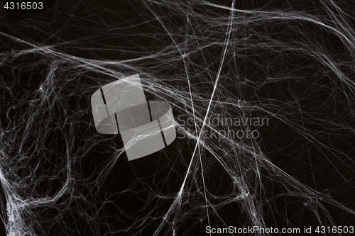 Image of halloween decoration of spider web over black