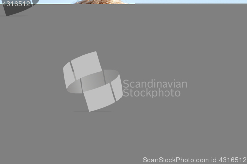 Image of smiling man calling on smartphone on summer beach
