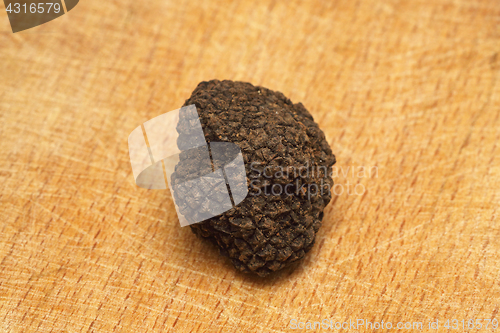 Image of Truffle