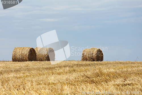 Image of Hay bales