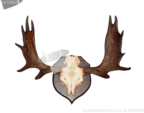 Image of Antlers