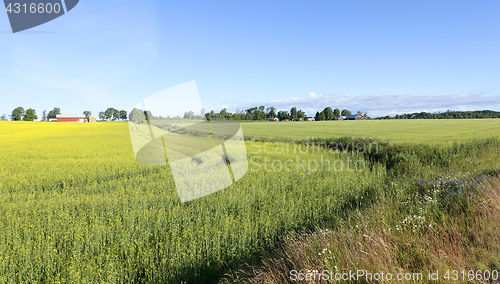 Image of Farmland