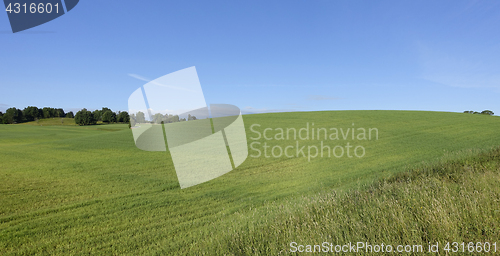 Image of Farmland