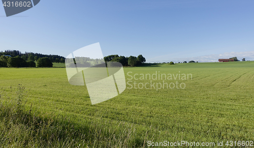 Image of Farmland