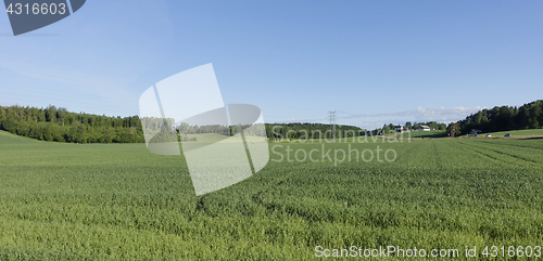 Image of Farmland