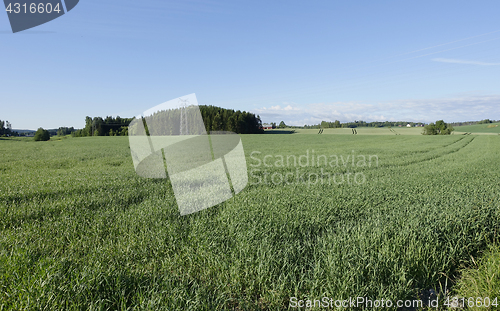 Image of Farmland