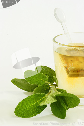 Image of Herbal tea