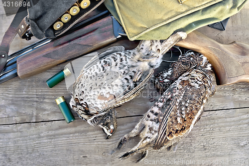 Image of Grouse and rifle with cartridges on board
