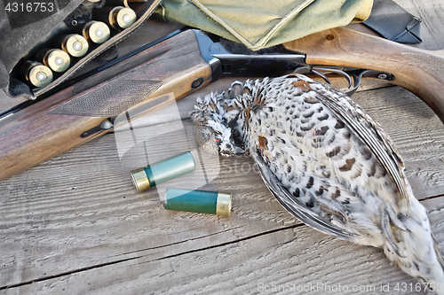 Image of Grouse and gun on board
