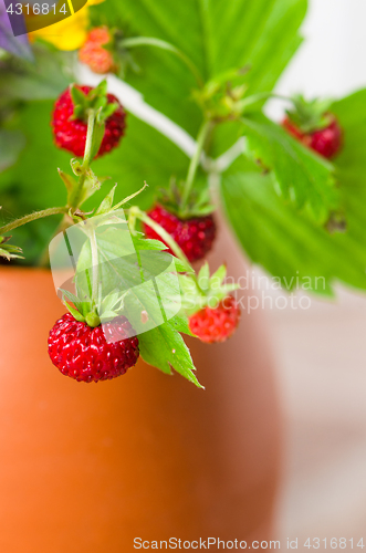 Image of Ripe strawberries and a bouquet of forest flowers in a clay mug