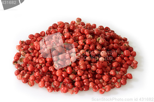 Image of Red peppercorn