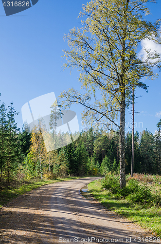 Image of Country road in autumn forest, Estonia