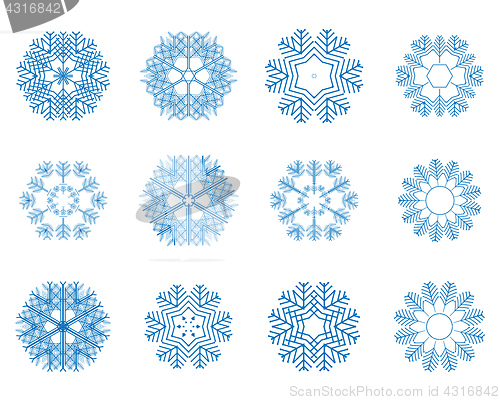 Image of different winter snowflakes