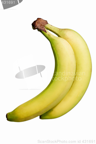 Image of Two bananas