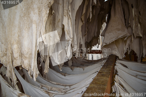 Image of Old tannery in Fez, Morocco