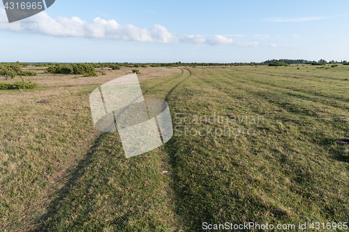 Image of Winding country road in a grassland