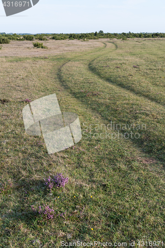 Image of Winding grass road in a plain landscape