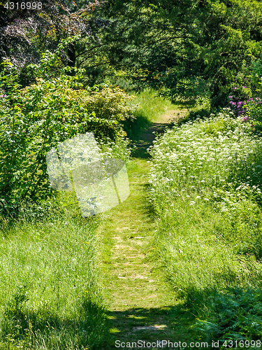 Image of Grass Path