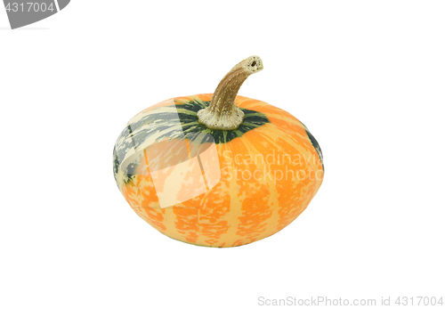 Image of Small green and orange disc-shaped ornamental gourd 